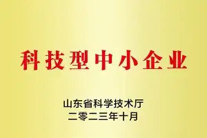 202310-国家科技型中小企业